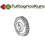 INGRANAGGIO POMPA INIEZIONE ORIGINALE PER MIETITREBBIA TRATTORE NEW HOLLAND LAVERADA / 55-46Dt / Tk60-65 V / Tk80-75
